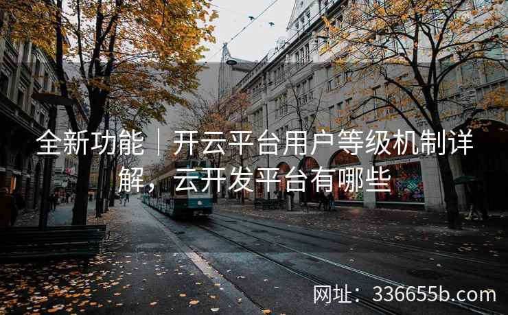 全新功能｜开云平台用户等级机制详解，云开发平台有哪些